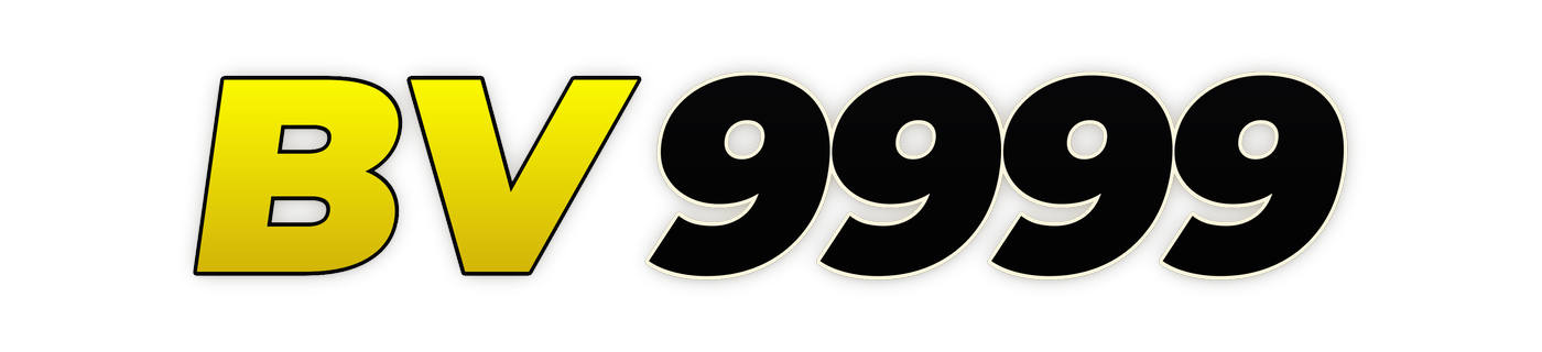 bv9999 Logo